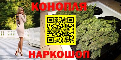 ECSTASY Новодвинск