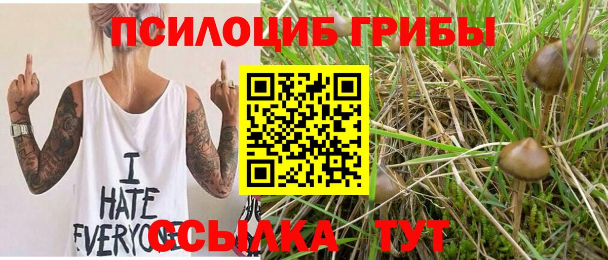 Псилоцибиновые грибы GOLDEN TEACHER Спасск-Дальний